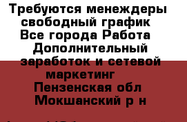 Требуются менеждеры, свободный график - Все города Работа » Дополнительный заработок и сетевой маркетинг   . Пензенская обл.,Мокшанский р-н